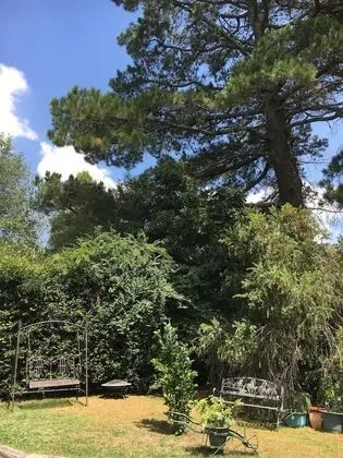 The Best Exotic Magnolia Cottage - Dış Mekan