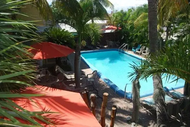 Best Florida Resort - Havuz