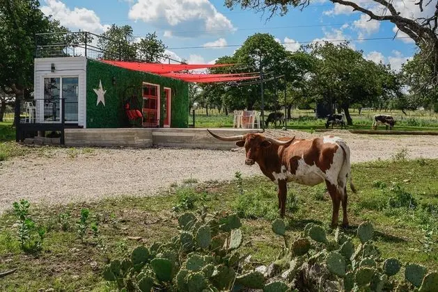 Best Fredericksburg Bed And Breakfast - Öne Çıkan Resim