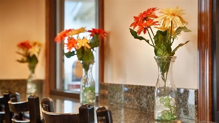 Best Western Bennington - Yeme / İçme