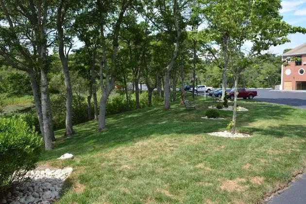 Best Western Cape Cod Hotel - Dış Mekan