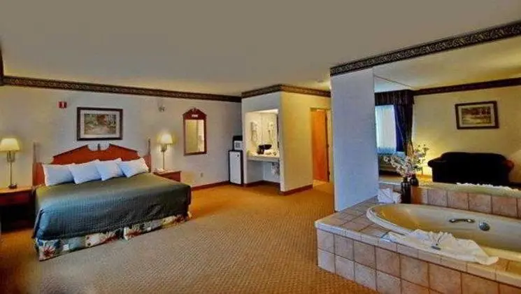 Best Western Dallas Inn & Suites