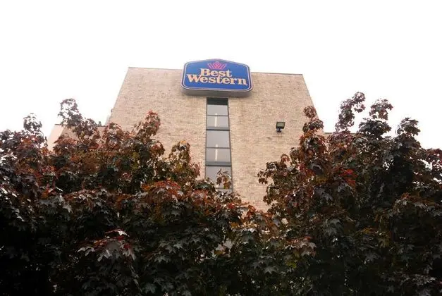 Best Western Executive Hotel Of New Haven-West