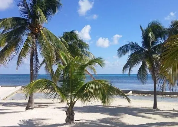 Best Western Grand Baymen Gardens - Plaj
