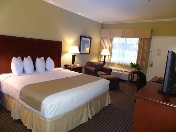 Best Western Hebbronville Inn - Oda