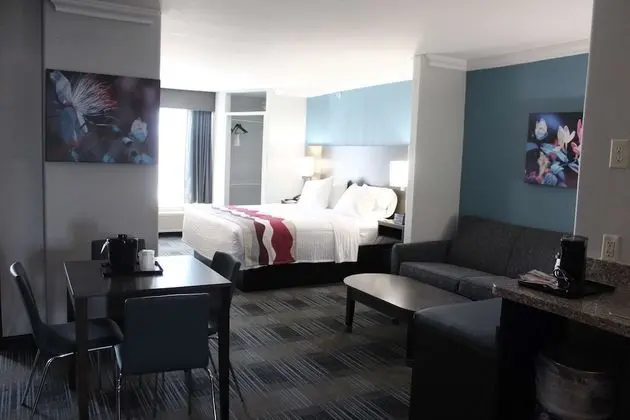 Best Western Medical Center North Inn & Suites Near Six Flags - Oda