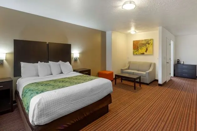 Best Western Mesquite Inn - Oda