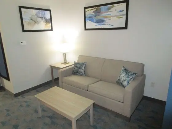 Best Western Plus Bonham - Oda