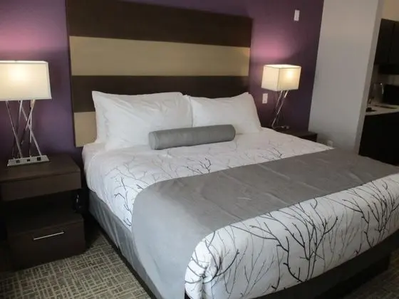 Best Western Plus Buda Austin Inn & Suites - Oda