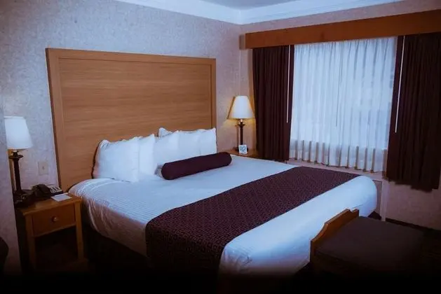 Best Western Plus Executive Court Inn