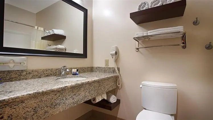 BEST WESTERN PLUS Finger Lakes Inn & Suites - Oda