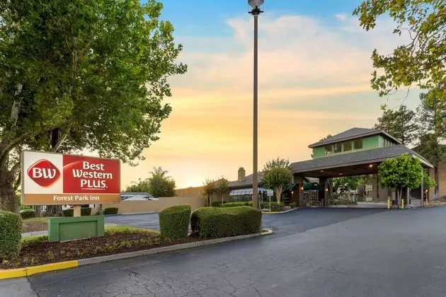 Best Western Plus Forest Park Inn - Öne Çıkan Resim