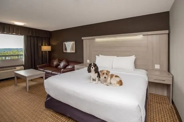 Best Western Plus Village Park Inn - Genel