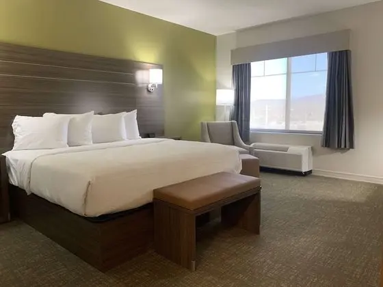 Best Western Plus Horseheads Inn & Suites - Oda