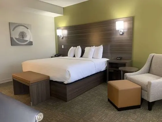 Best Western Plus Horseheads Inn & Suites - Oda