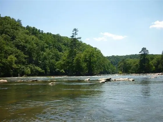 BEST WESTERN PLUS Lake Lanier Gainesville Hotel &