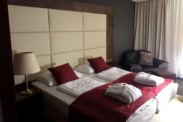 Best Western Plus Plaza Hotel Darmstadt - Oda