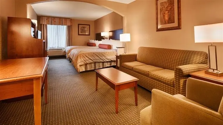 Best Western Plus Suites-Greenville - Oda