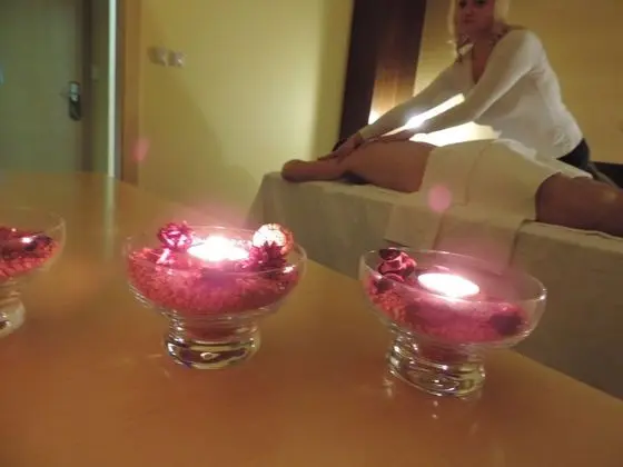 Betnava Hotel Maribor - Spa