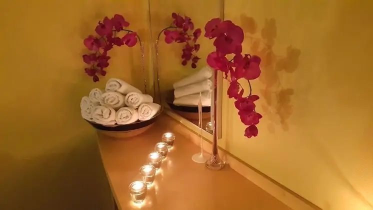 Betnava Hotel Maribor - Spa