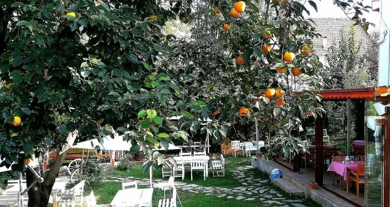 Beyaz Ev Butik Otel Maşukiye - Havuz