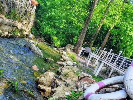 Beyaz Ev Butik Otel Maşukiye - Manzara / Peyzaj