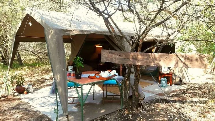 Beyond The Boma Boutique Guest - Oda