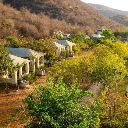Beyond Stay Jungle Camp Sariska - Dış Mekan