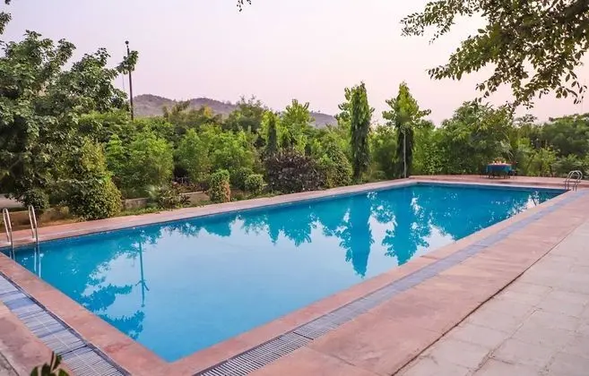 Beyond Stay Jungle Camp Sariska - Havuz