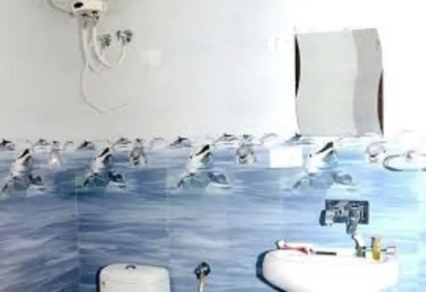 Hotel Bhagsu Sarovar Dharamshala - Banyo Tipleri