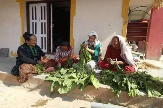 Bhattidanda Fresh & Natural Homestay - Dış Mekan