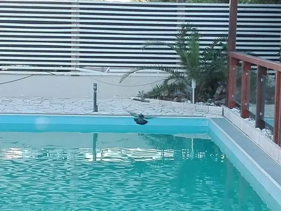 Biancopineta B&B - Havuz
