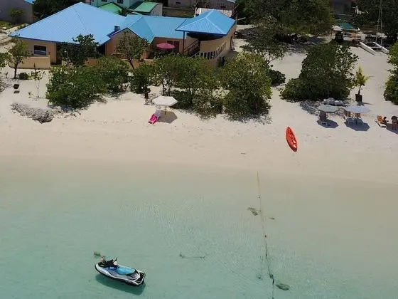 Bibee Maldives