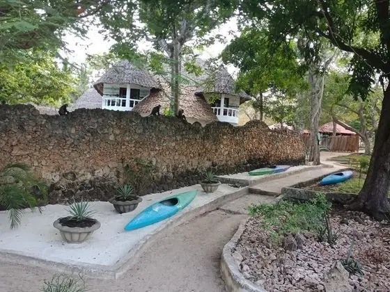 Bidi Badu Beach Resort - Dış Mekan