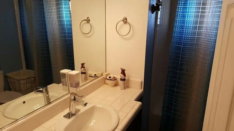 Big Bear Lakeview - Banyo Tipleri