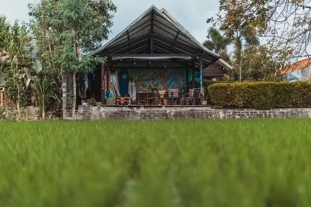 Big Brother Surf Inn - Dış Mekan