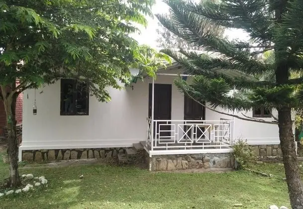 The Big Cat Den Resort