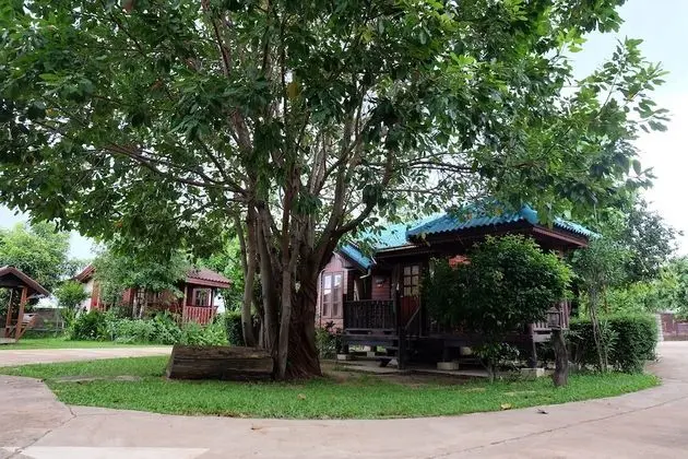 Big Tree Resort