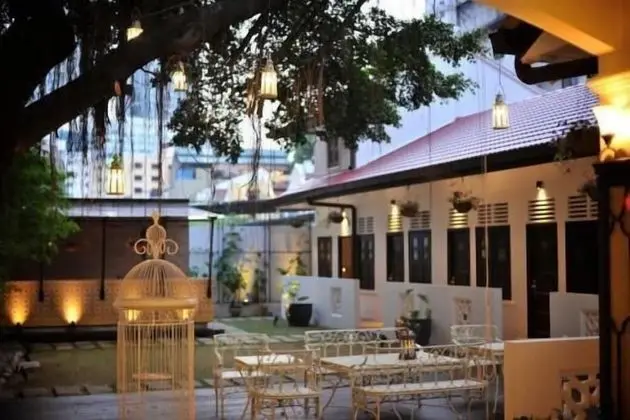 The Big Tree Hotel - Öne Çıkan Resim