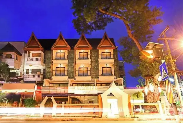 Big Tree Old Town Hotel - Dış Mekan