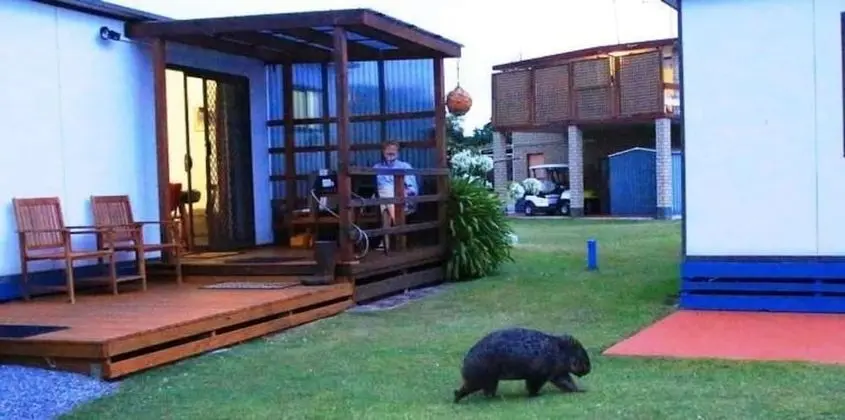 BIG4 Kelso Sands Holiday Park - 1
