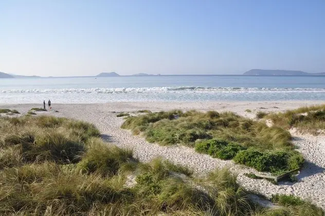 BIG4 Middleton Beach Holiday Park - Plaj