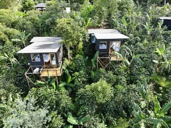 Biking & Adventure Hotel by La Palma y El Tucan - 1