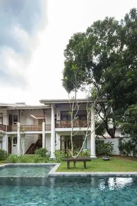 Bilin Tree House - Havuz
