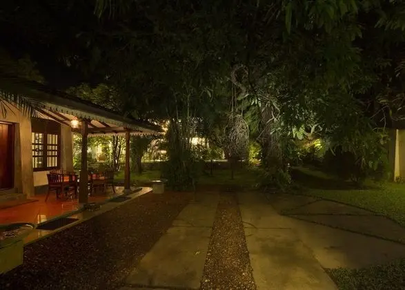 Bilin Tree House - Oda