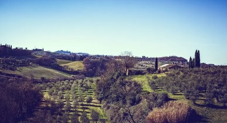 Bio-Agriturismo La Ginestra