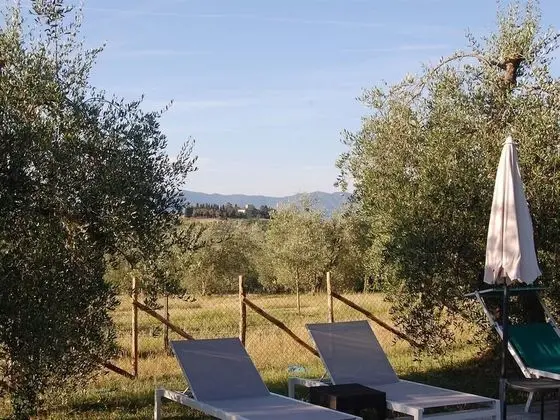 Bio Agriturismo La Spiga D'oro - Dış Mekan