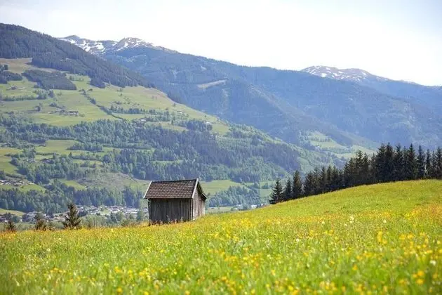 Bio-Bauernhof Vordergugg - Genel