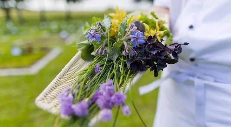 bio hotel sturm | garten & spa - Genel
