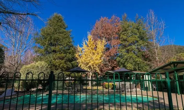 The Birch House - Silver Birches - Havuz